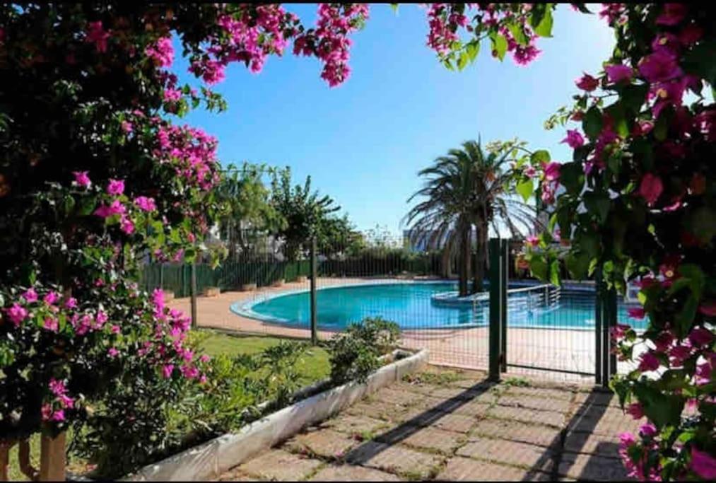Апартаменти Sa Caleta Blava Cala'N Blanes  Екстер'єр фото